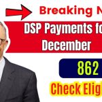 862 DSP Payments for December 2024