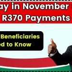 Delay in November SRD R370 Payments