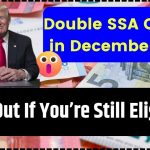 Double SSA Checks in December 2024