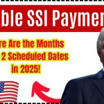 Double SSI Payments