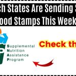 Which States Are Sending SNAP Food Stamps This Week