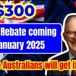 $300 Energy Rebate coming in January 2025