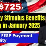 $725 Monthly Stimulus Benefits Coming in January 2025