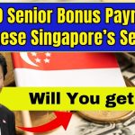 $900 Senior Bonus Payment for these Singapore’s Seniors 2025