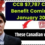 CCB $7,787 Child Benefit Coming in January 2025