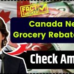 Canada Next Grocery Rebate 2025