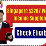 Singapore $3267 Workfare Income Supplement Coming