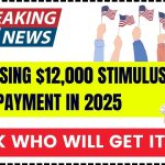 Surprising $12,000 Stimulus Payment in 2025